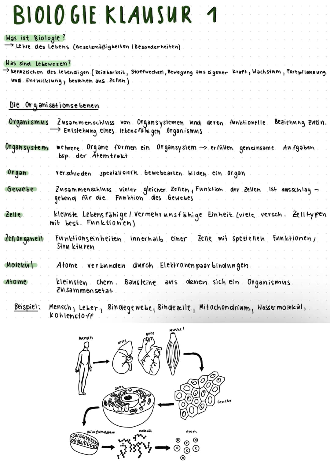 BIOLOGIE KLAUSUR 1
Was ist Biologie ?
Lehre des Lebens (Gesetzmäßigkeiten / Besonderheiten)
Was sind Lebewesen?
→kennzeichen des Lebendigen 