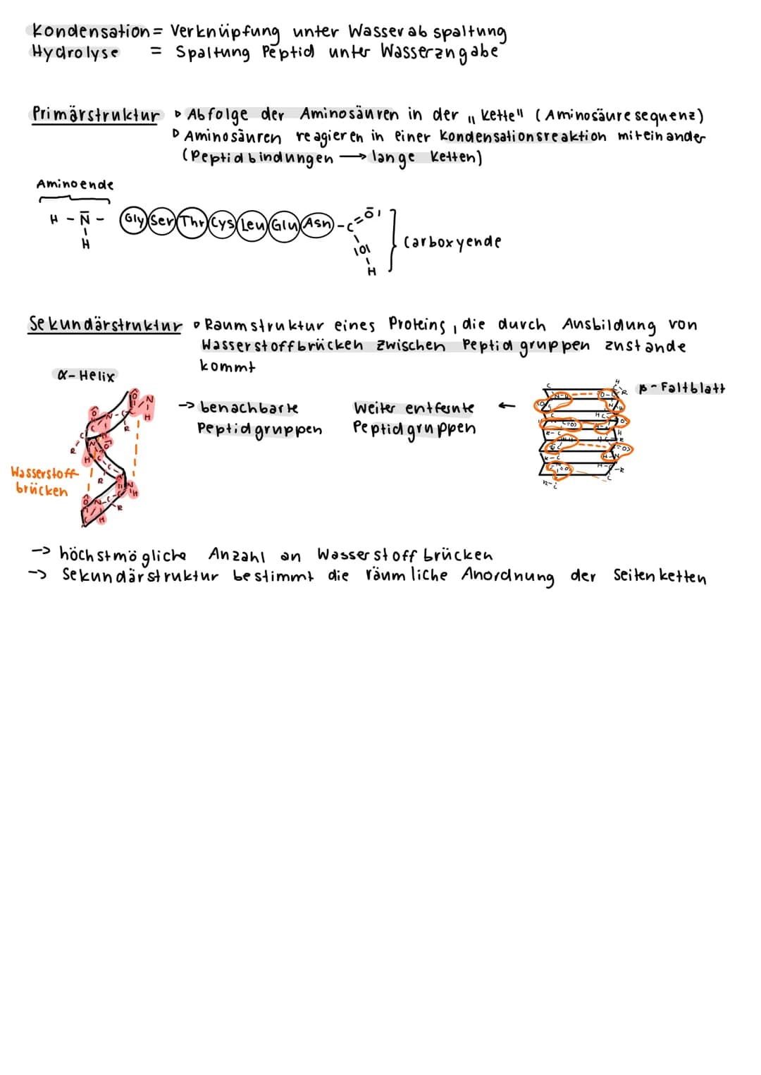 BIOLOGIE KLAUSUR 1
Was ist Biologie ?
Lehre des Lebens (Gesetzmäßigkeiten / Besonderheiten)
Was sind Lebewesen?
→kennzeichen des Lebendigen 