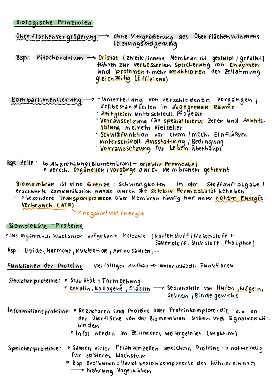 BIOLOGIE KLAUSUR 1
Was ist Biologie ?
Lehre des Lebens (Gesetzmäßigkeiten / Besonderheiten)
Was sind Lebewesen?
→kennzeichen des Lebendigen 