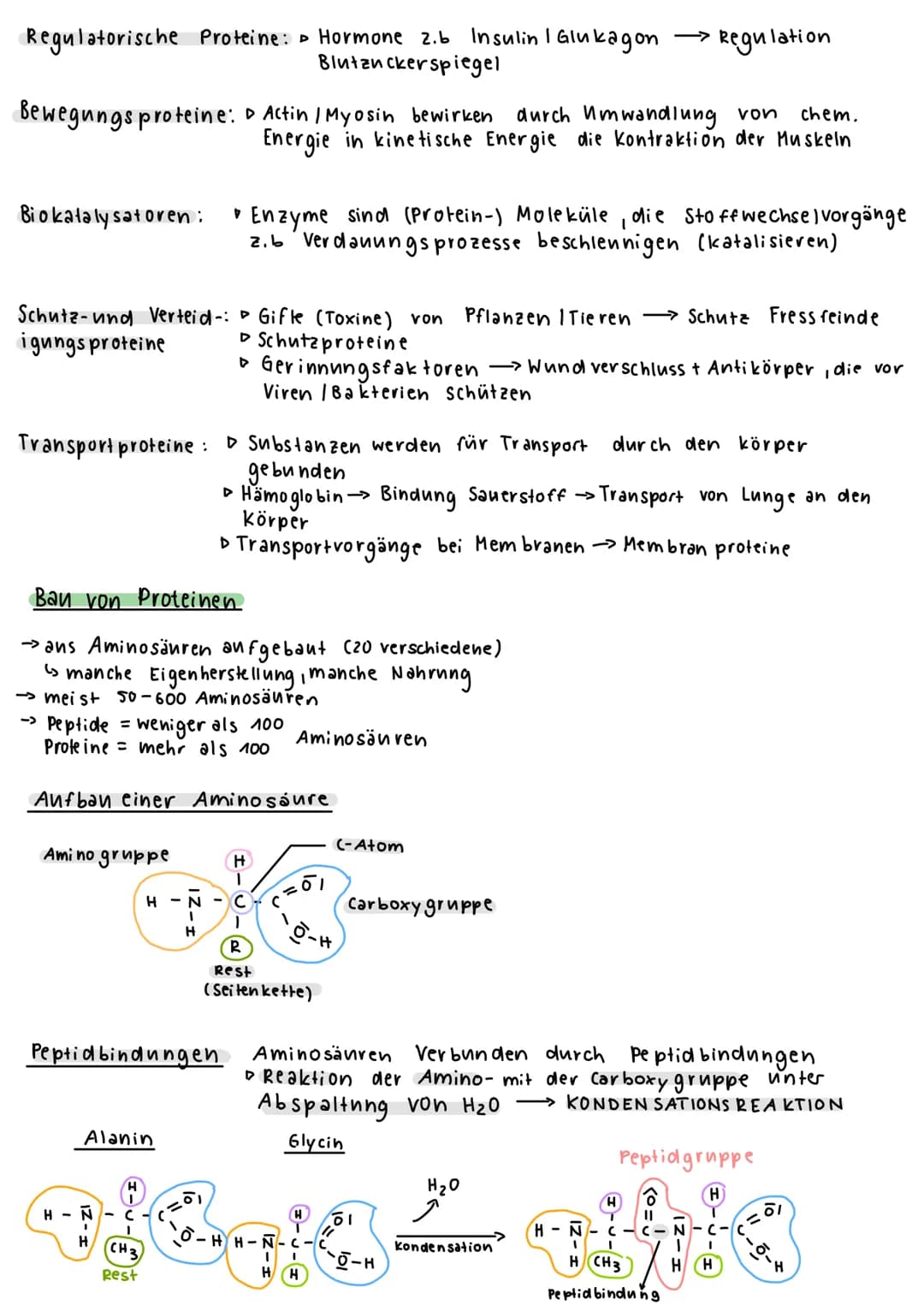 BIOLOGIE KLAUSUR 1
Was ist Biologie ?
Lehre des Lebens (Gesetzmäßigkeiten / Besonderheiten)
Was sind Lebewesen?
→kennzeichen des Lebendigen 