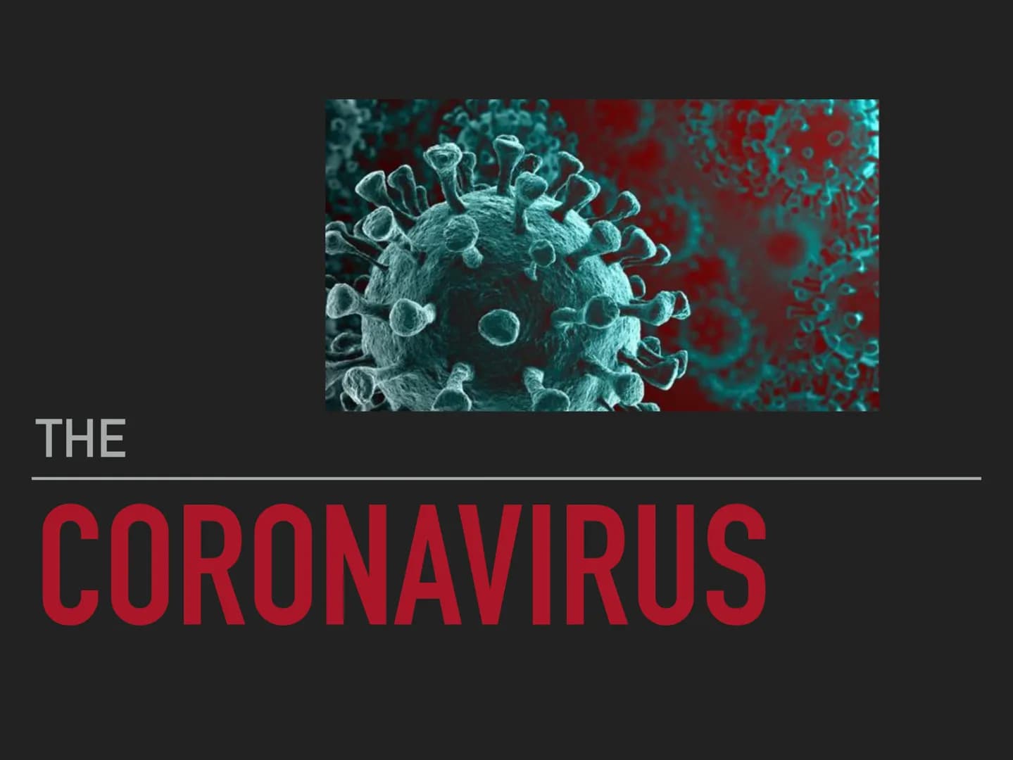 THE
CORONAVIRUS TEXT
THE STRUCTURE
What is COVID-19?
▸ Where are the most people infected?
▶ We need a vaccine
▶ What is so dangerous?
▸ Pro