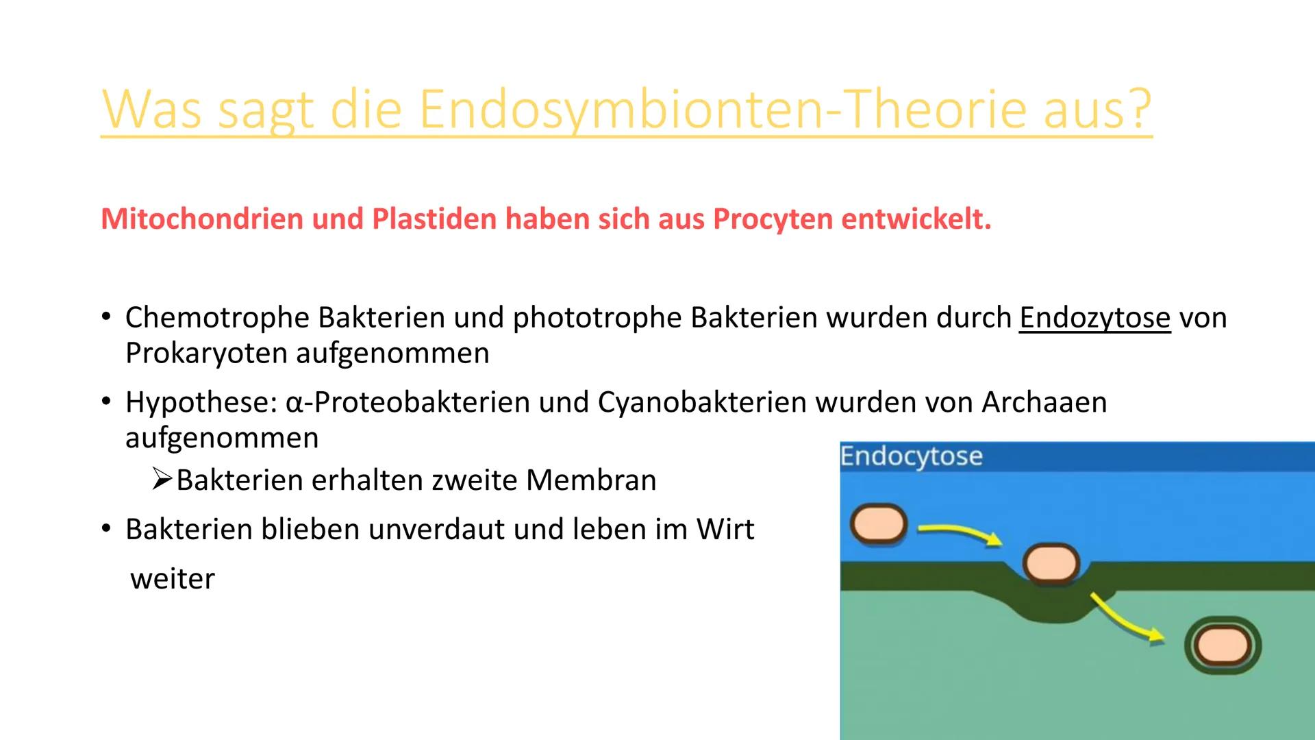   Tiere
Eukaryoter
Pflanzen
Pilze Zur Wiederhohlung:
Eukaryoten
Prokaryoten
• Vielzeller/ Mehrzeller
• Zelle (Eucyte) hat einen Zellkern, we