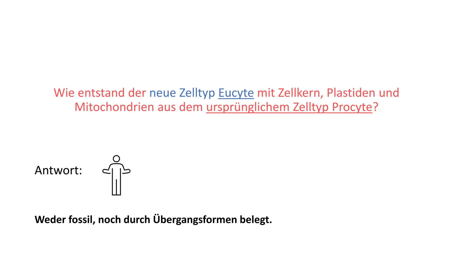   Tiere
Eukaryoter
Pflanzen
Pilze Zur Wiederhohlung:
Eukaryoten
Prokaryoten
• Vielzeller/ Mehrzeller
• Zelle (Eucyte) hat einen Zellkern, we
