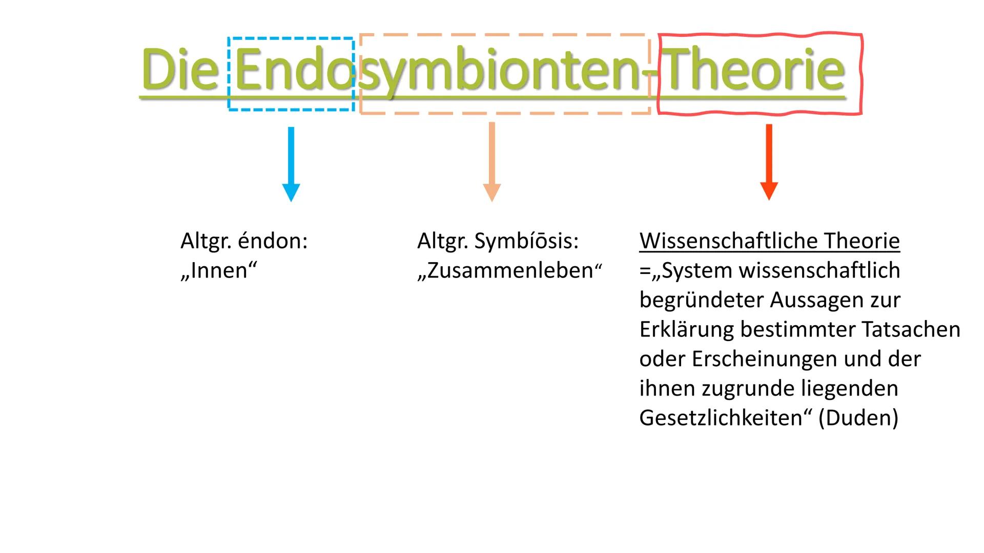   Tiere
Eukaryoter
Pflanzen
Pilze Zur Wiederhohlung:
Eukaryoten
Prokaryoten
• Vielzeller/ Mehrzeller
• Zelle (Eucyte) hat einen Zellkern, we