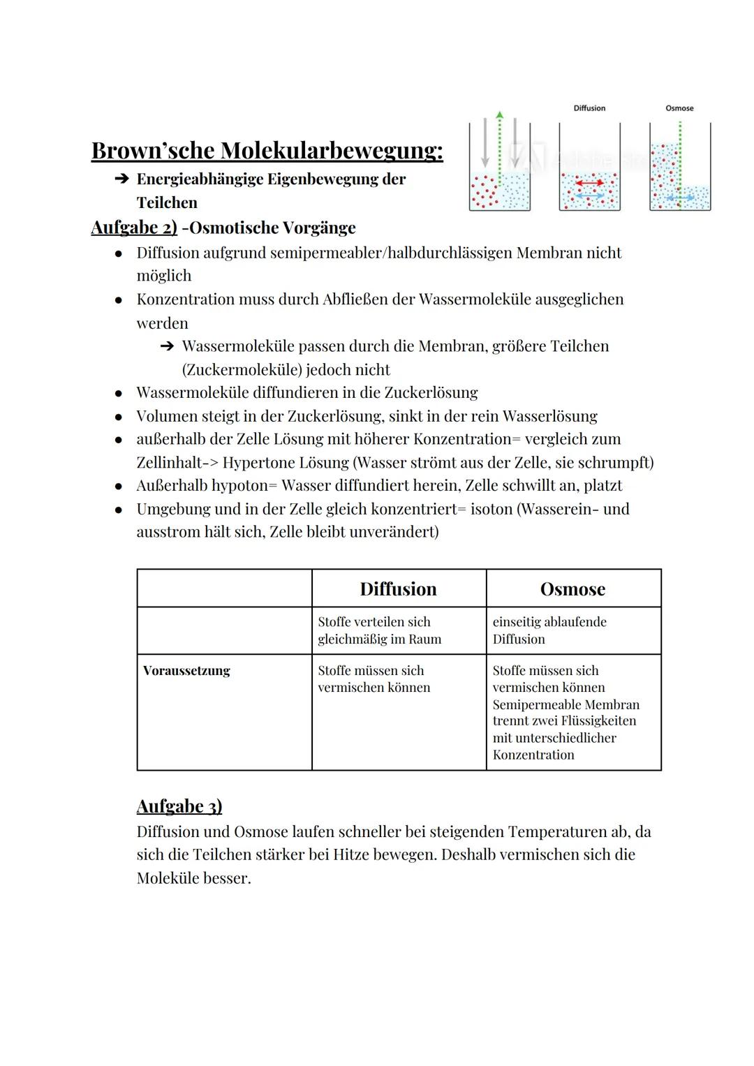 Stativ
Objekthalter
Grob-
trieb
Fein-
trieb
www.lichtmikroskop.net
Das Mikroskop
Okular
Bestandteil
Stativ
Okular
Tubus
Objektiv
Objektivrev