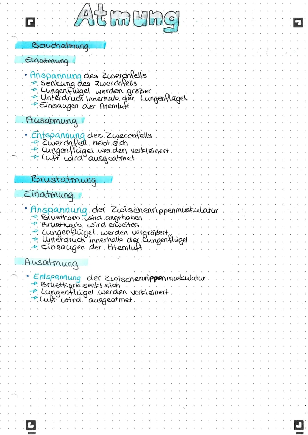 Atmung