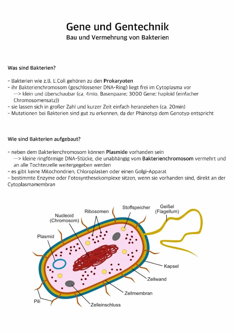 Know Gene und Gentechnik thumbnail