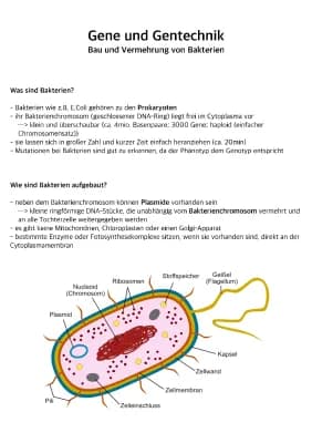Know Gene und Gentechnik thumbnail