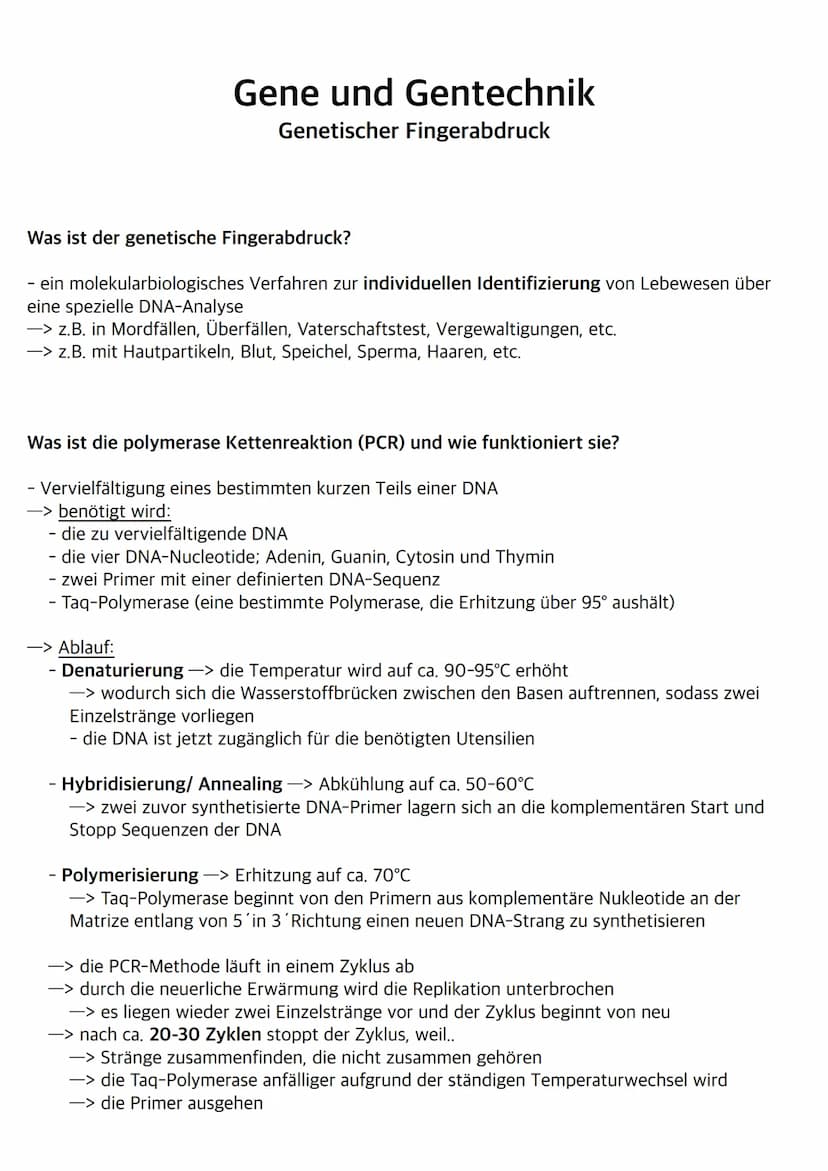 Was sind Bakterien?
- Bakterien wie z.B. E.Coli gehören zu den Prokaryoten
- ihr Bakterienchromosom (geschlossener DNA-Ring) liegt frei im C