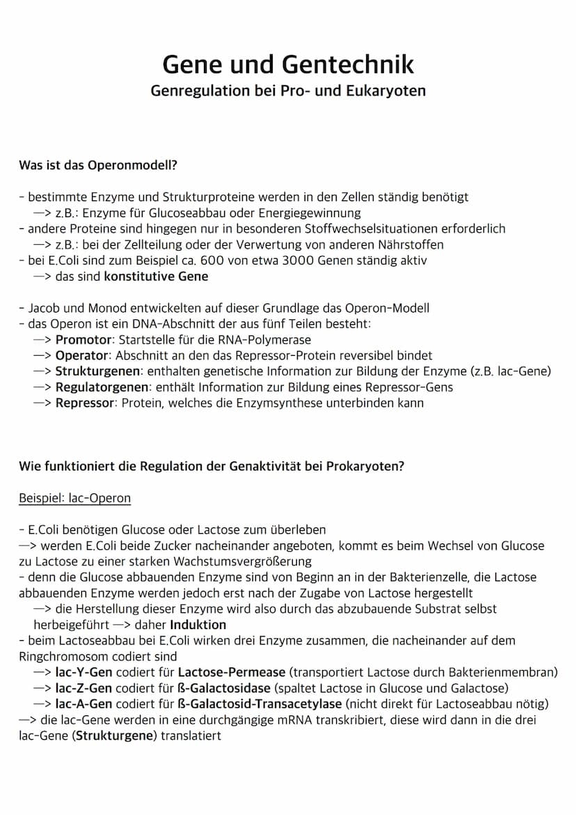 Was sind Bakterien?
- Bakterien wie z.B. E.Coli gehören zu den Prokaryoten
- ihr Bakterienchromosom (geschlossener DNA-Ring) liegt frei im C