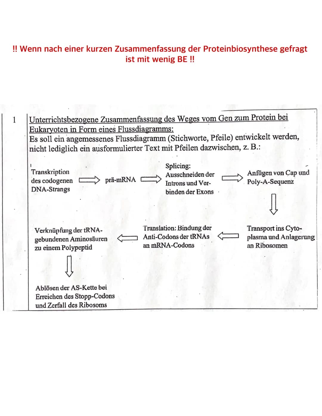 Was sind Bakterien?
- Bakterien wie z.B. E.Coli gehören zu den Prokaryoten
- ihr Bakterienchromosom (geschlossener DNA-Ring) liegt frei im C