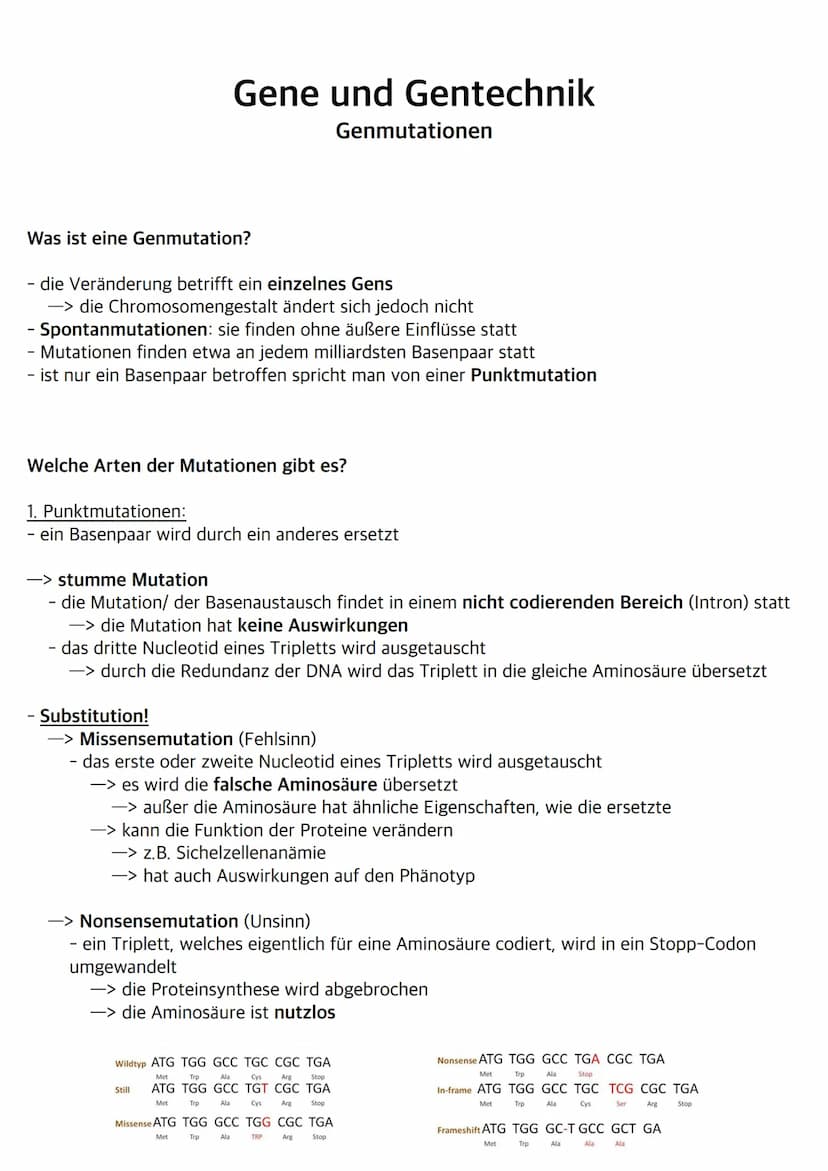 Was sind Bakterien?
- Bakterien wie z.B. E.Coli gehören zu den Prokaryoten
- ihr Bakterienchromosom (geschlossener DNA-Ring) liegt frei im C