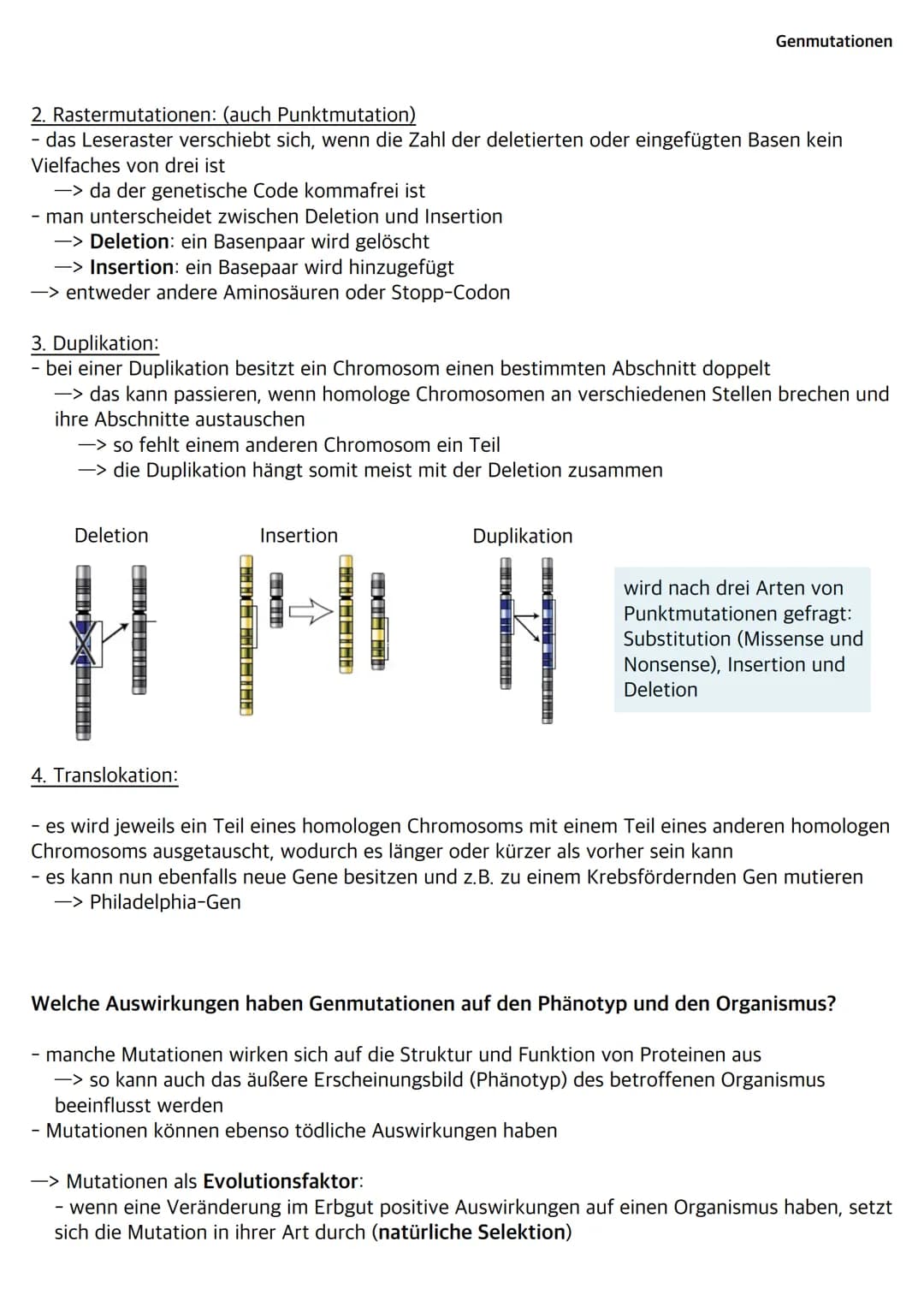 Was sind Bakterien?
- Bakterien wie z.B. E.Coli gehören zu den Prokaryoten
- ihr Bakterienchromosom (geschlossener DNA-Ring) liegt frei im C