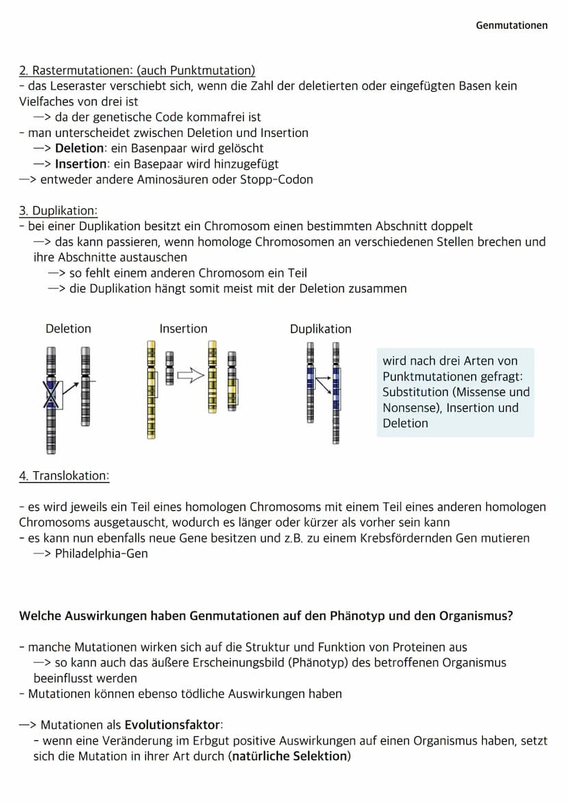 Was sind Bakterien?
- Bakterien wie z.B. E.Coli gehören zu den Prokaryoten
- ihr Bakterienchromosom (geschlossener DNA-Ring) liegt frei im C