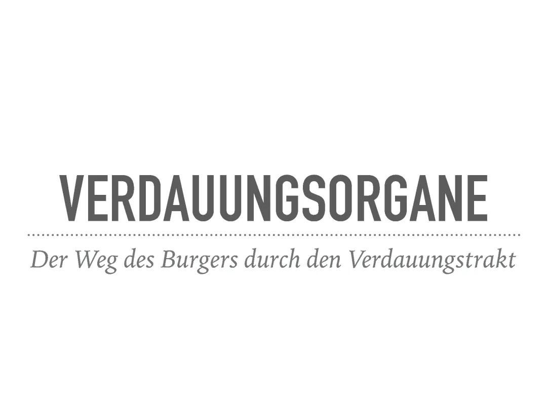 Verdauungsorgane 