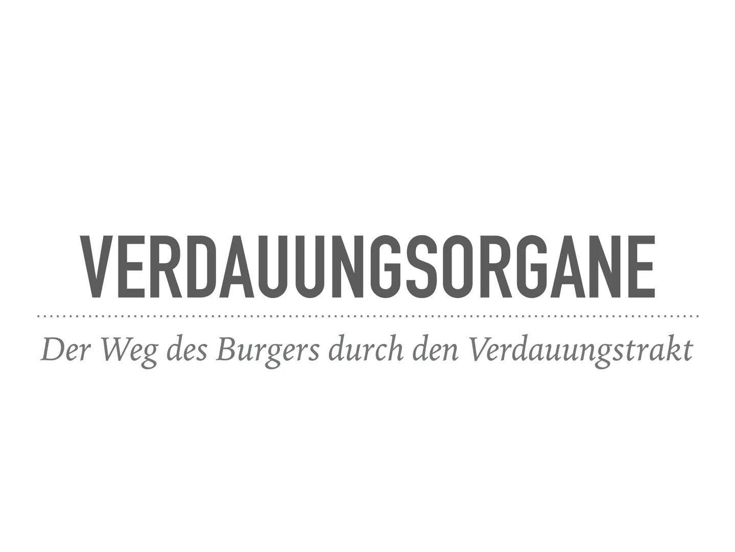 VERDAUUNGSORGANE
Der Weg des Burgers durch den Verdauungstrakt MUND
➤ Verdauung fängt im Mund an
➤ Nahrung gelangt in die Mundhöhle
Zähne ze