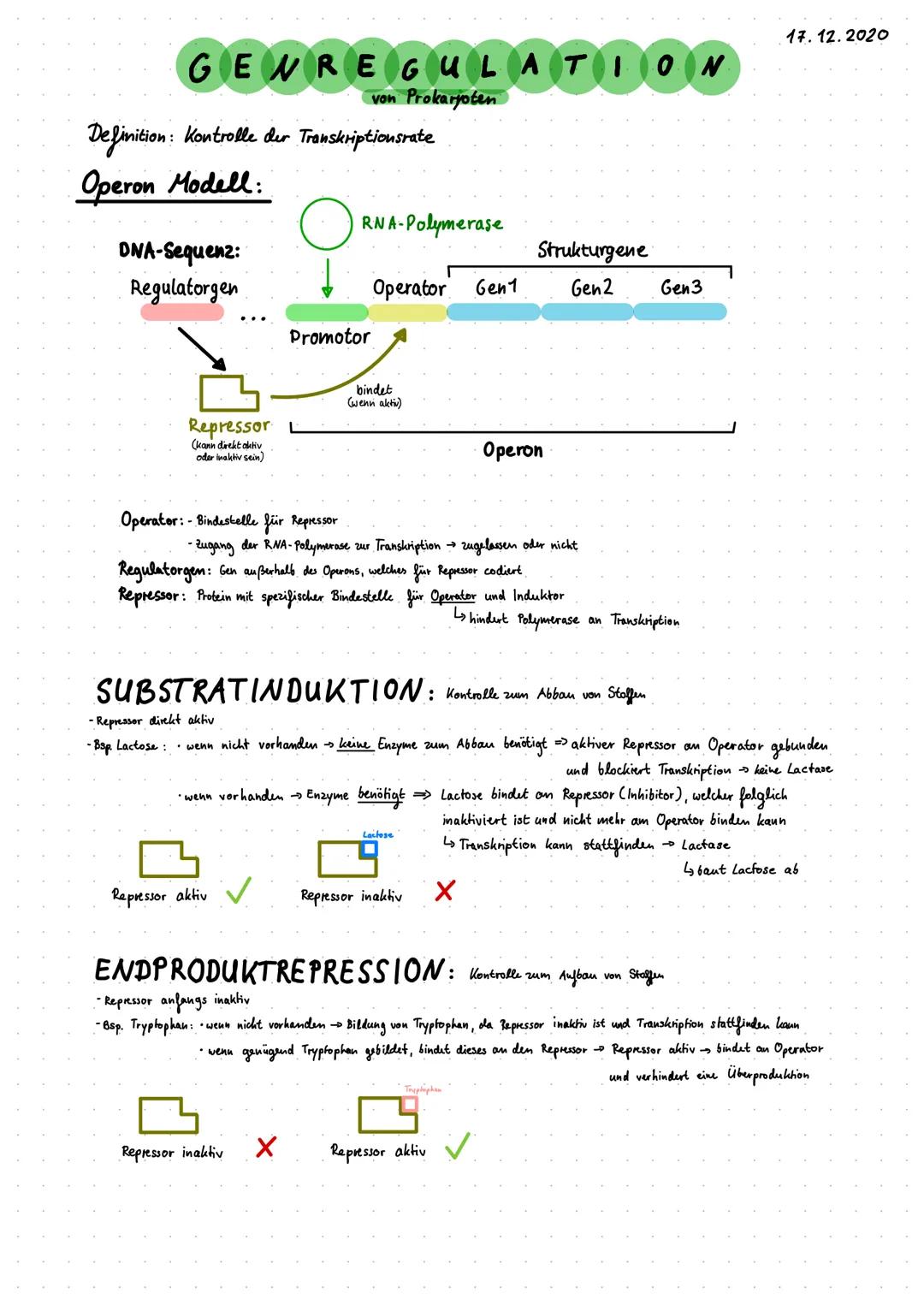 GENREGULATION
von Prokaryoten
Definition: Kontrolle der Transkriptionsrate
Operon Modell:
DNA-Sequenz:
Regulatorgen
Repressor
(kann direkt a