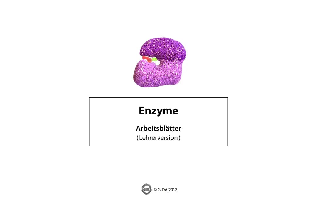 Enzyme Arbeitsblätter