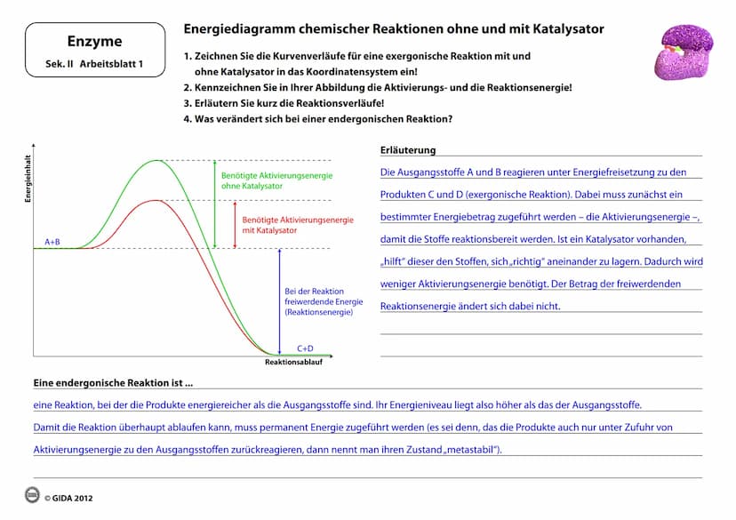 Enzyme
Arbeitsblätter
(Lehrerversion)
GIDA
OGIDA 2012 Energieinhalt
Enzyme
Sek. II Arbeitsblatt 1
A+B
Energiediagramm chemischer Reaktionen 
