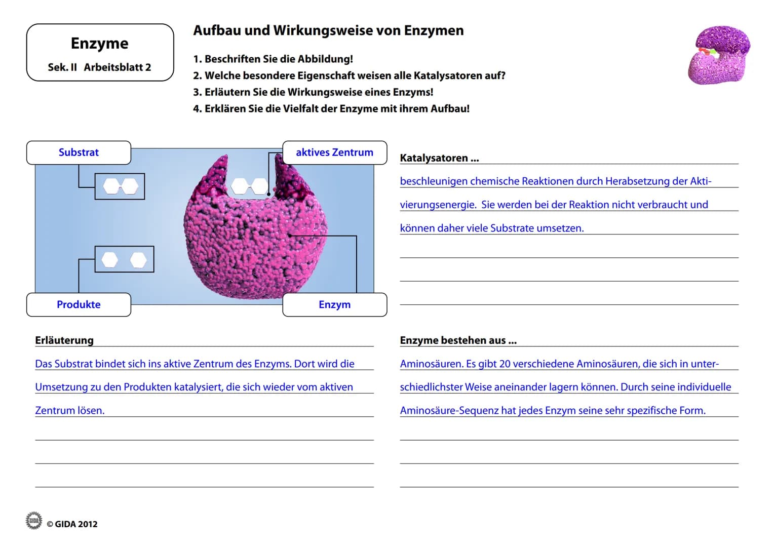 Enzyme
Arbeitsblätter
(Lehrerversion)
GIDA
OGIDA 2012 Energieinhalt
Enzyme
Sek. II Arbeitsblatt 1
A+B
Energiediagramm chemischer Reaktionen 