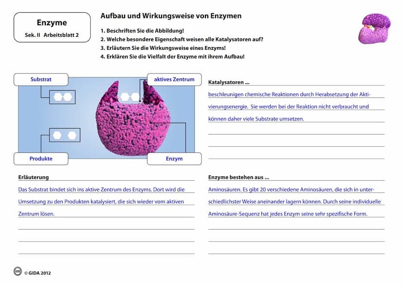 Enzyme
Arbeitsblätter
(Lehrerversion)
GIDA
OGIDA 2012 Energieinhalt
Enzyme
Sek. II Arbeitsblatt 1
A+B
Energiediagramm chemischer Reaktionen 