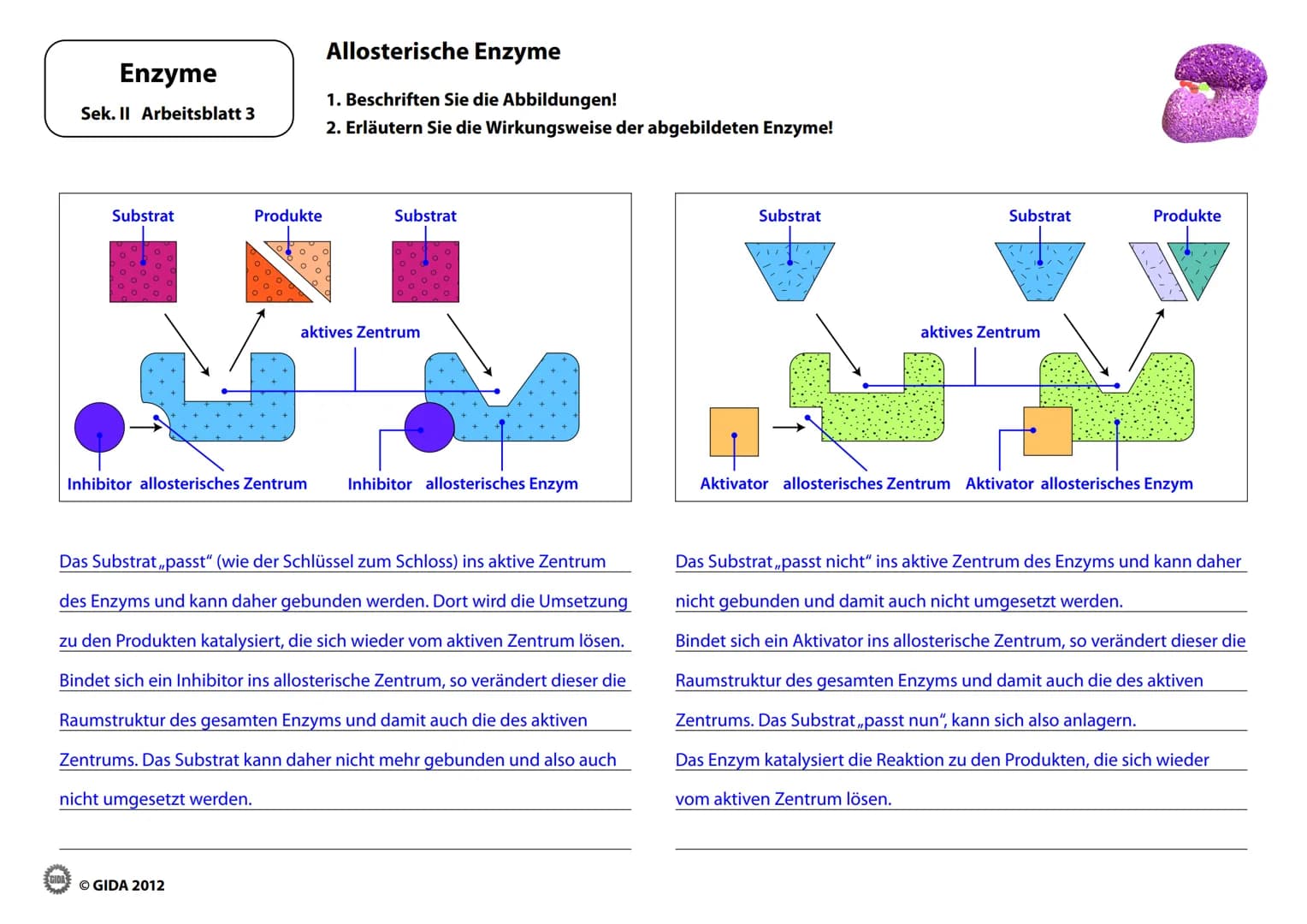 Enzyme
Arbeitsblätter
(Lehrerversion)
GIDA
OGIDA 2012 Energieinhalt
Enzyme
Sek. II Arbeitsblatt 1
A+B
Energiediagramm chemischer Reaktionen 