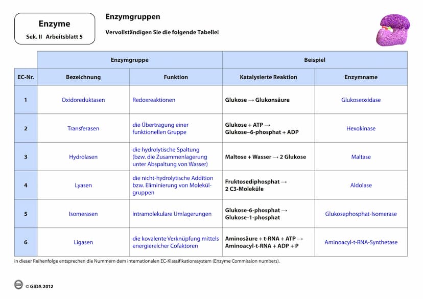 Enzyme
Arbeitsblätter
(Lehrerversion)
GIDA
OGIDA 2012 Energieinhalt
Enzyme
Sek. II Arbeitsblatt 1
A+B
Energiediagramm chemischer Reaktionen 