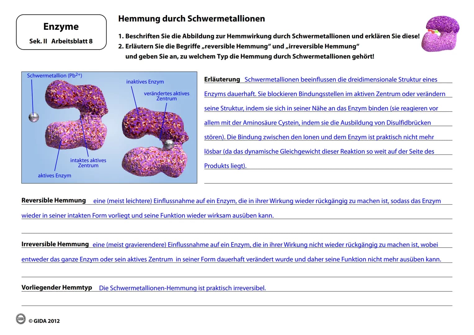 Enzyme
Arbeitsblätter
(Lehrerversion)
GIDA
OGIDA 2012 Energieinhalt
Enzyme
Sek. II Arbeitsblatt 1
A+B
Energiediagramm chemischer Reaktionen 