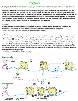 Know Lernzettel Epigenetik thumbnail