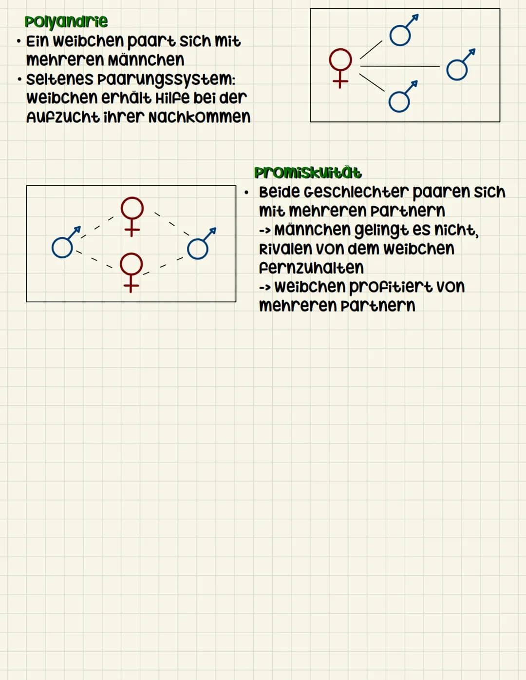 Paarungssysteme
Als Paarungssysteme werden die möglichen sexuellen
Beziehungen zwischen Männchen und weibchen bezeichnet.
Paarungsverhalten
