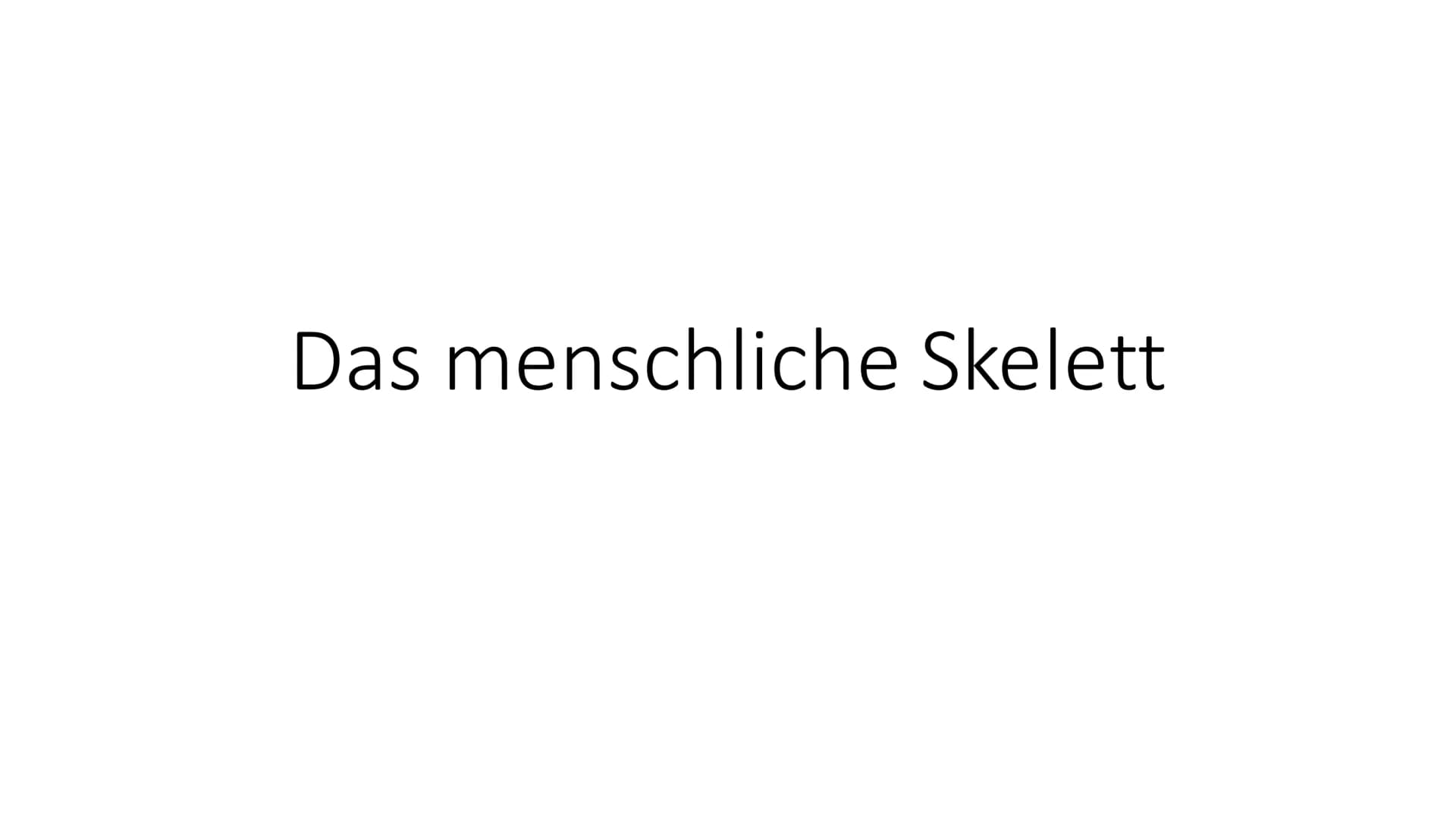 Das menschliche Skelett • Das menschliche Skelett wird eingeteilt in Kopfskelett, Rumpfskelett und
Gliedmaßenskelett
• Hauptstütze ist die W