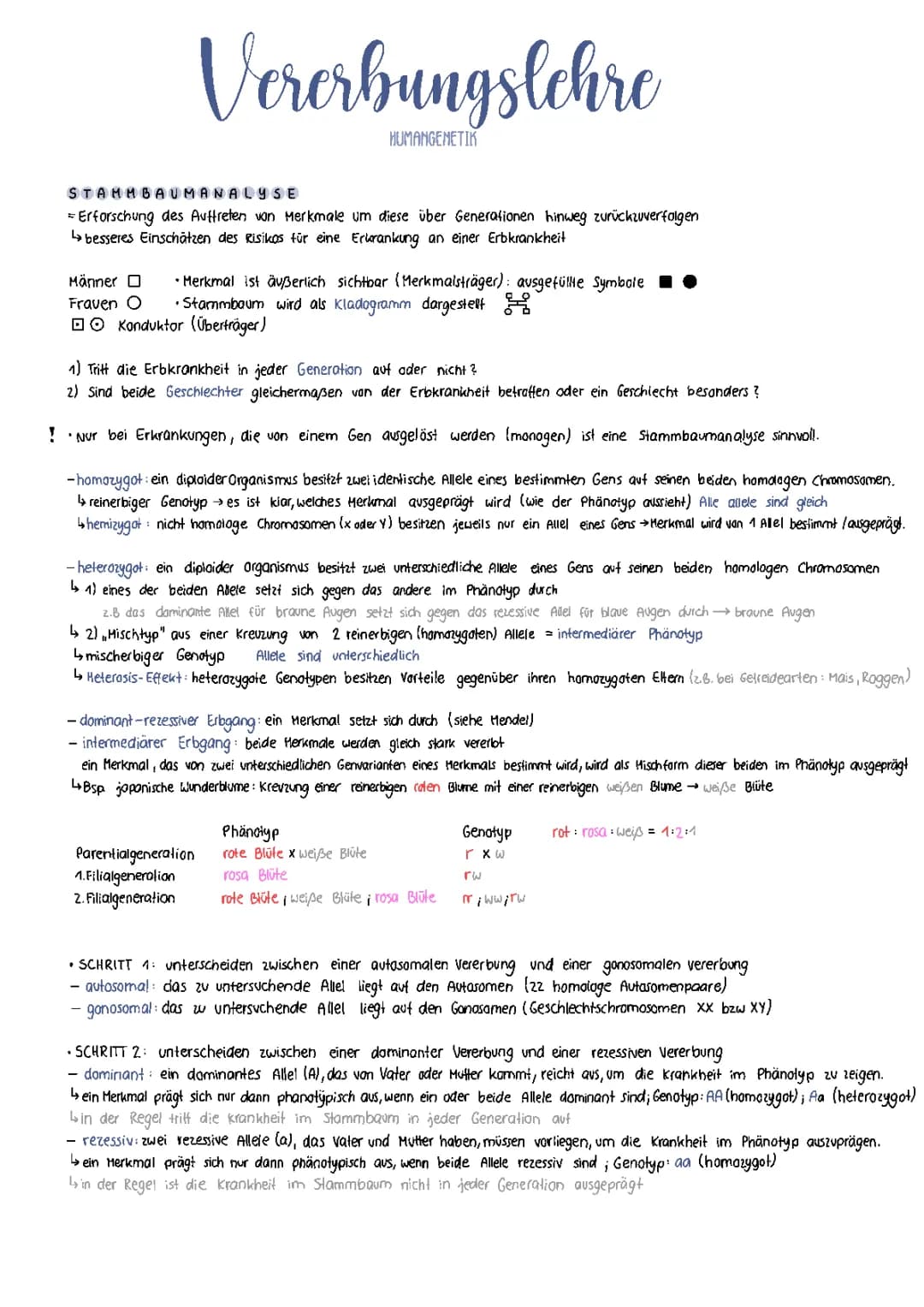 Stammbaumanalyse und Erbgänge analysieren, Vererbungslehre Genetik Biologie 