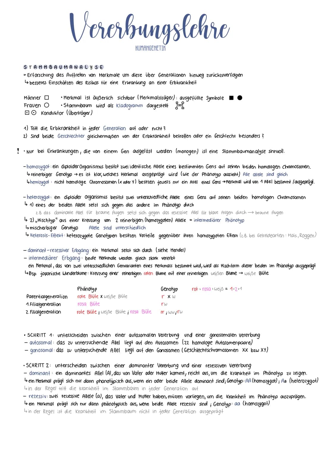 Vererbungslehre
STAMMBAUMANALYSE
= Erforschung des Auffreten von Merkmale um diese über Generationen hinweg zurückzuverfolgen
↳>besseres Ein