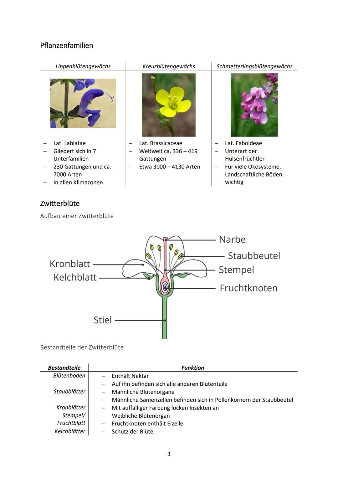 Biologie Klasse 9
SAMENPFLANZEN
Definition
Pflanzen sind Lebewesen, die standortgebunden ihre Energie mit Hilfe des Sonnenlichtes beziehen u