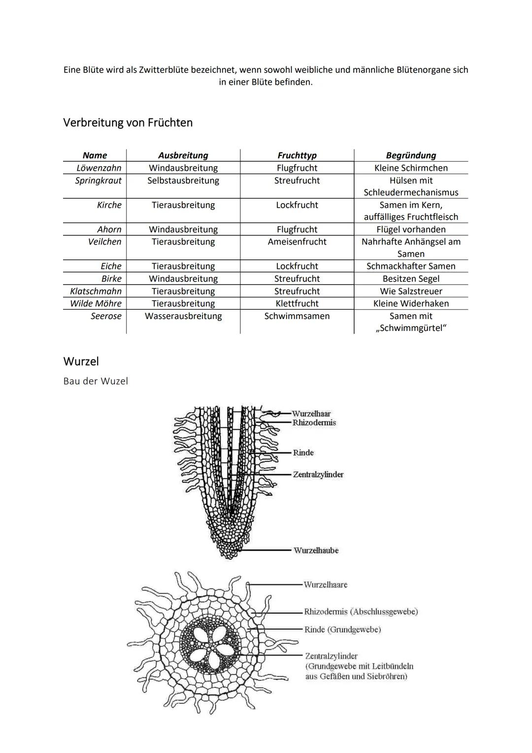 Biologie Klasse 9
SAMENPFLANZEN
Definition
Pflanzen sind Lebewesen, die standortgebunden ihre Energie mit Hilfe des Sonnenlichtes beziehen u