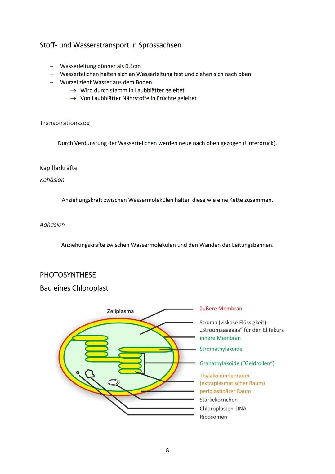 Biologie Klasse 9
SAMENPFLANZEN
Definition
Pflanzen sind Lebewesen, die standortgebunden ihre Energie mit Hilfe des Sonnenlichtes beziehen u