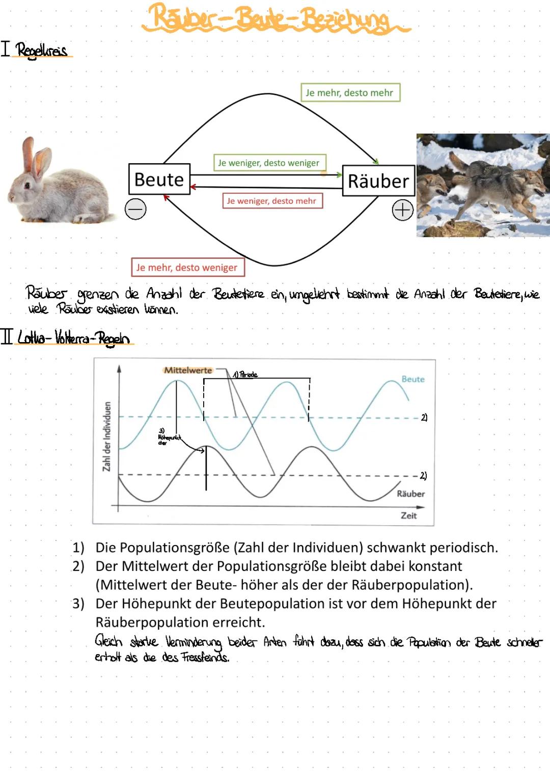 Räuber-Beute-Beziehung: Definition, Beispiele und Lotka-Volterra-Regeln