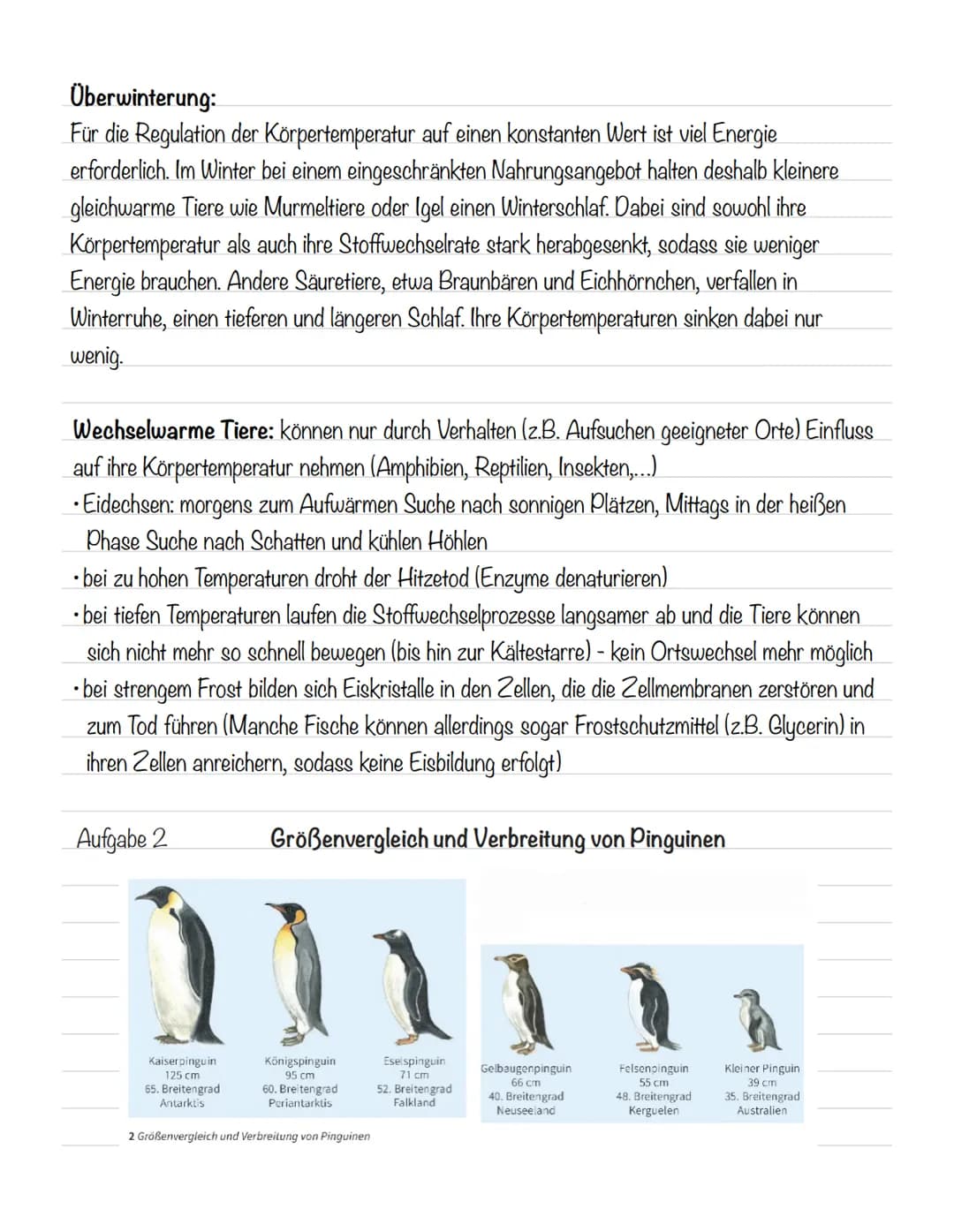  Abiotische Faktoren
Abiotische Umweltfaktoren: ausgehend von der unbelebten Umwelt
Biotische Umweltfaktoren: ausgehend von Lebewesen (Konku