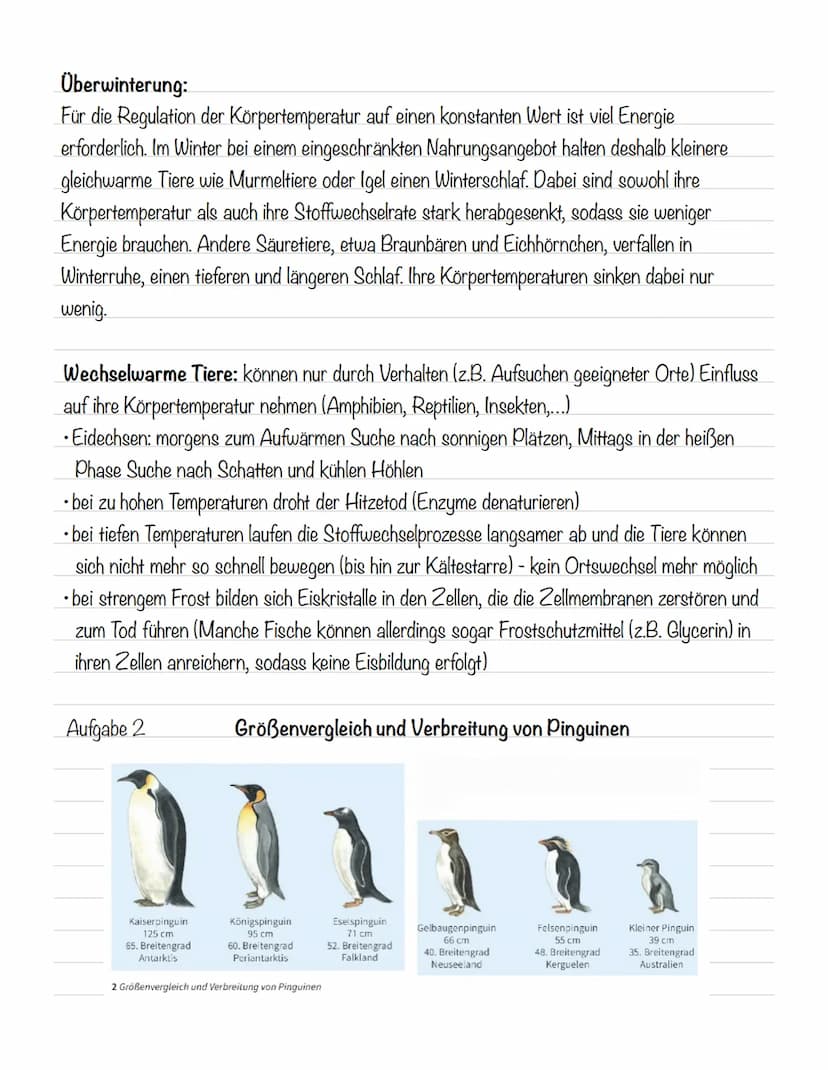  Abiotische Faktoren
Abiotische Umweltfaktoren: ausgehend von der unbelebten Umwelt
Biotische Umweltfaktoren: ausgehend von Lebewesen (Konku