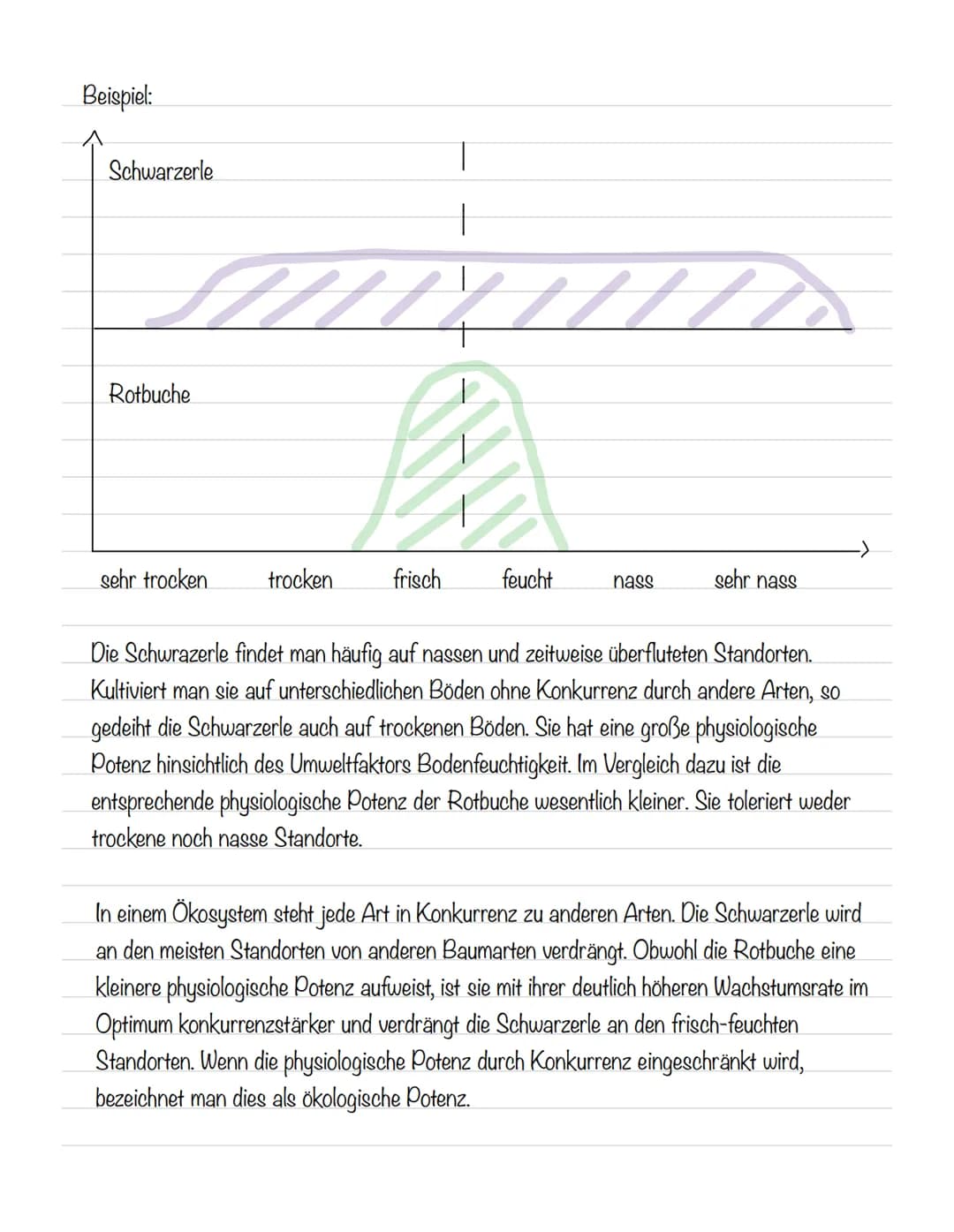  Abiotische Faktoren
Abiotische Umweltfaktoren: ausgehend von der unbelebten Umwelt
Biotische Umweltfaktoren: ausgehend von Lebewesen (Konku