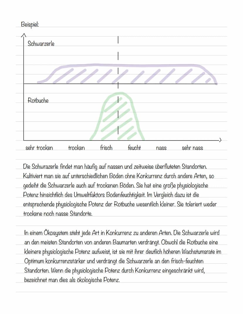  Abiotische Faktoren
Abiotische Umweltfaktoren: ausgehend von der unbelebten Umwelt
Biotische Umweltfaktoren: ausgehend von Lebewesen (Konku