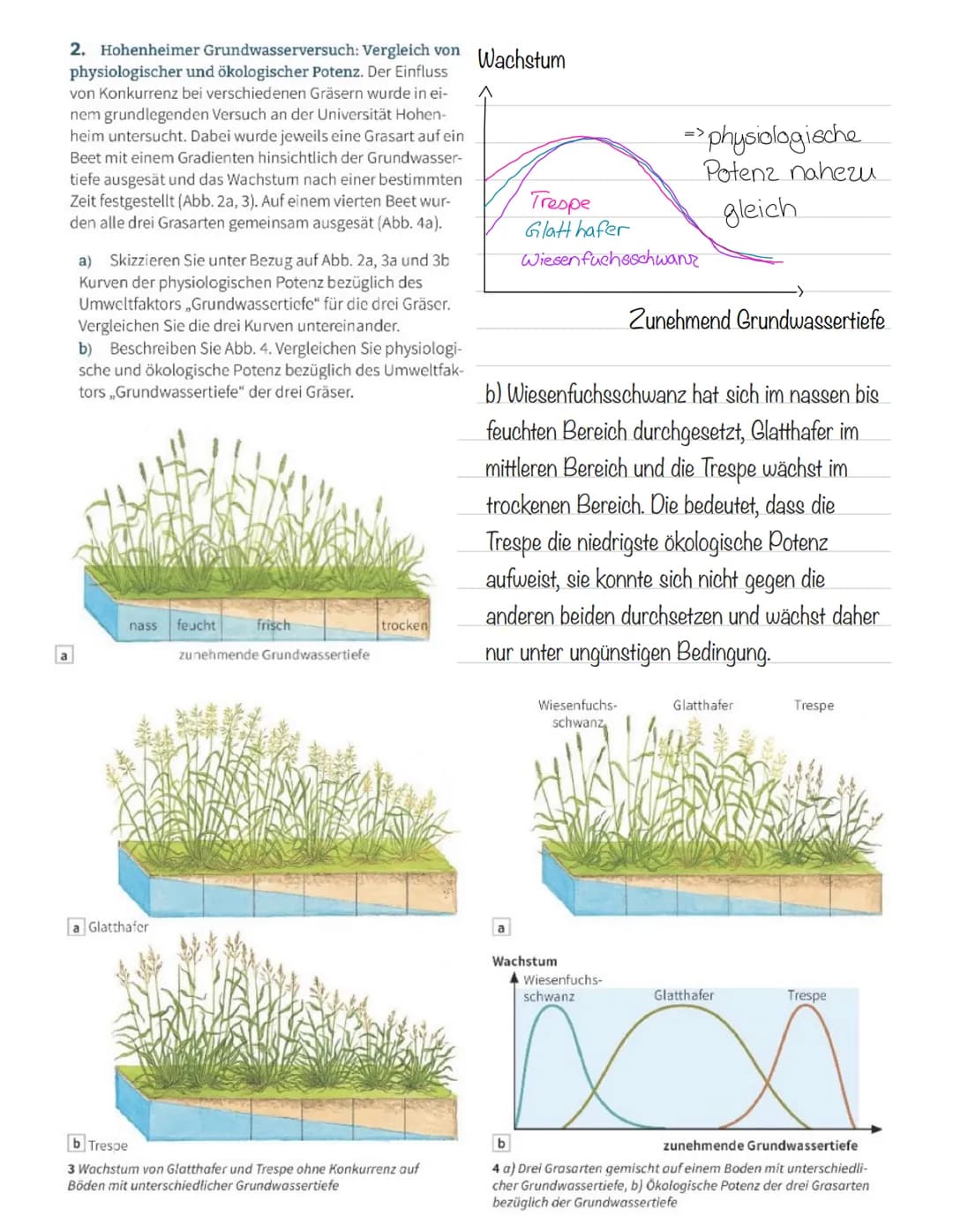  Abiotische Faktoren
Abiotische Umweltfaktoren: ausgehend von der unbelebten Umwelt
Biotische Umweltfaktoren: ausgehend von Lebewesen (Konku