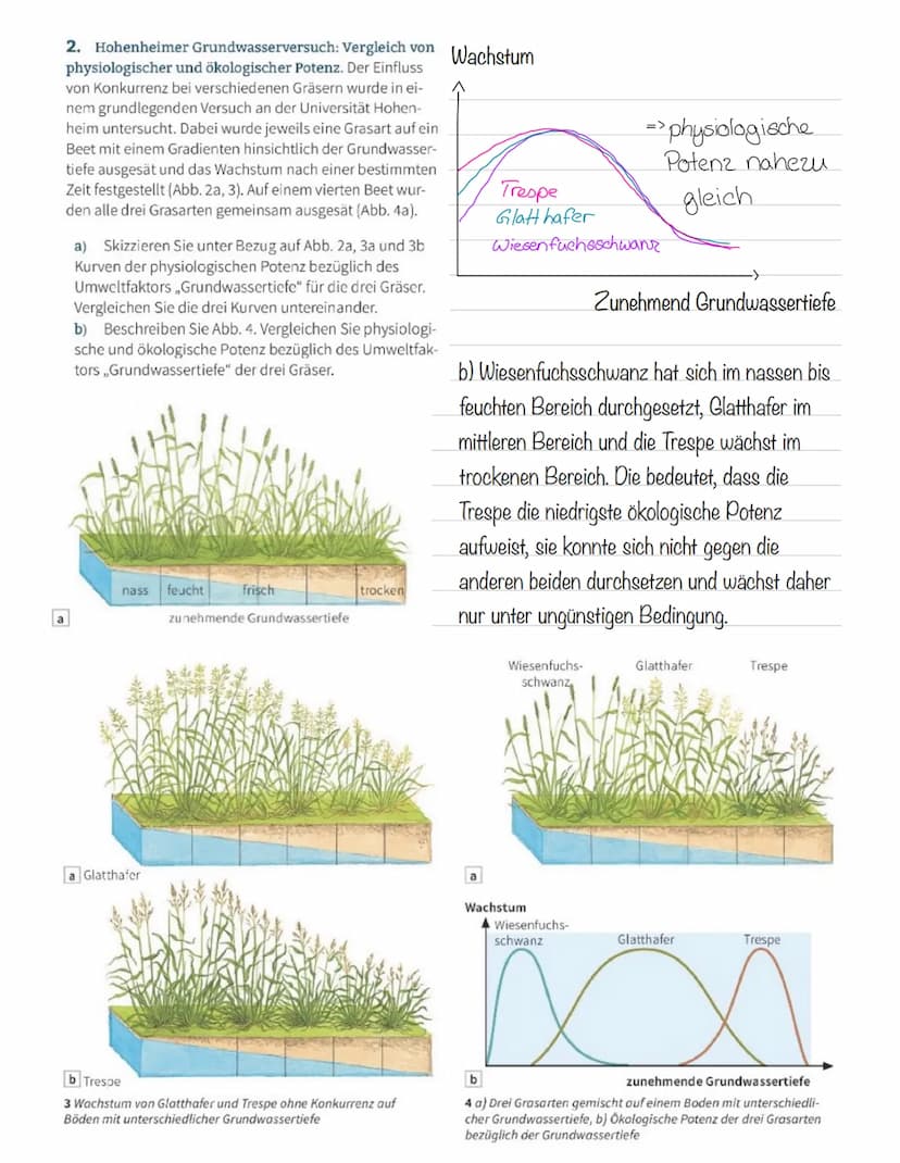  Abiotische Faktoren
Abiotische Umweltfaktoren: ausgehend von der unbelebten Umwelt
Biotische Umweltfaktoren: ausgehend von Lebewesen (Konku