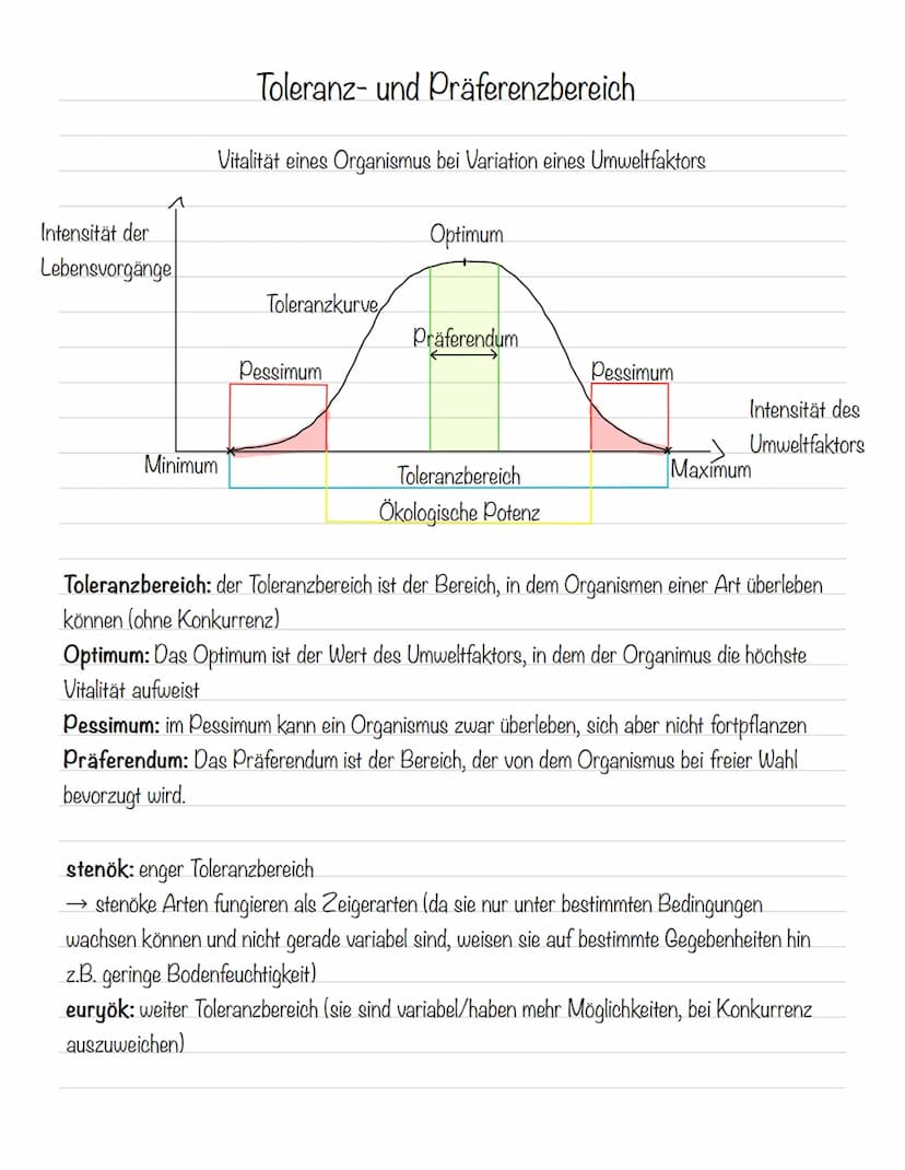  Abiotische Faktoren
Abiotische Umweltfaktoren: ausgehend von der unbelebten Umwelt
Biotische Umweltfaktoren: ausgehend von Lebewesen (Konku