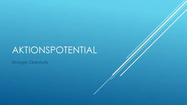 Know Aktionspotential Biologie thumbnail