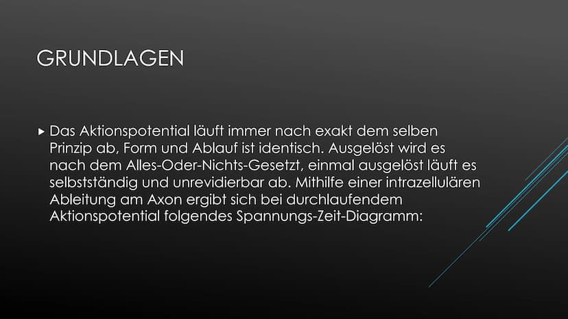 Aktionspotential
Das Aktionspotential läuft immer nach exakt dem selben Prinzip ab, Form und Ablauf ist identisch.
Ausgelöst wird es nach de