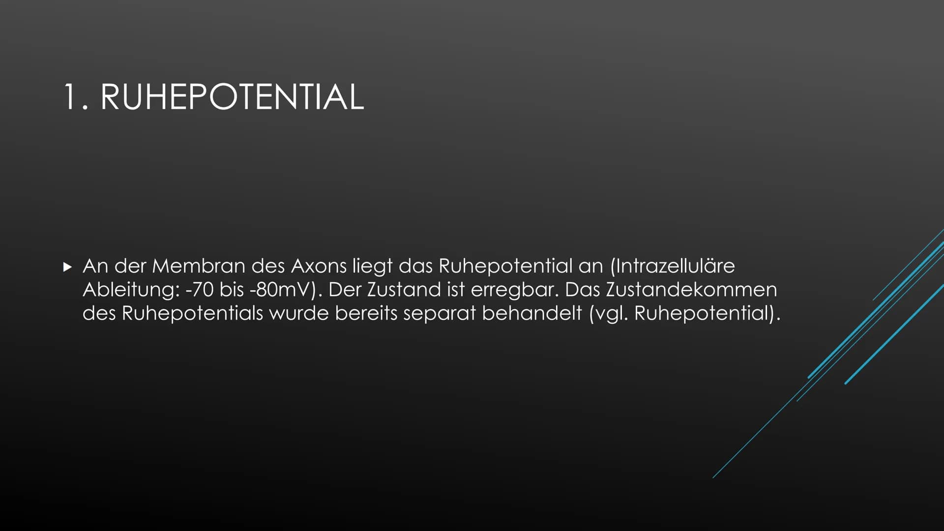 Aktionspotential
Das Aktionspotential läuft immer nach exakt dem selben Prinzip ab, Form und Ablauf ist identisch.
Ausgelöst wird es nach de
