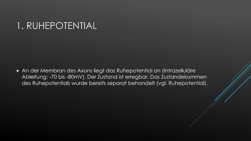Aktionspotential
Das Aktionspotential läuft immer nach exakt dem selben Prinzip ab, Form und Ablauf ist identisch.
Ausgelöst wird es nach de
