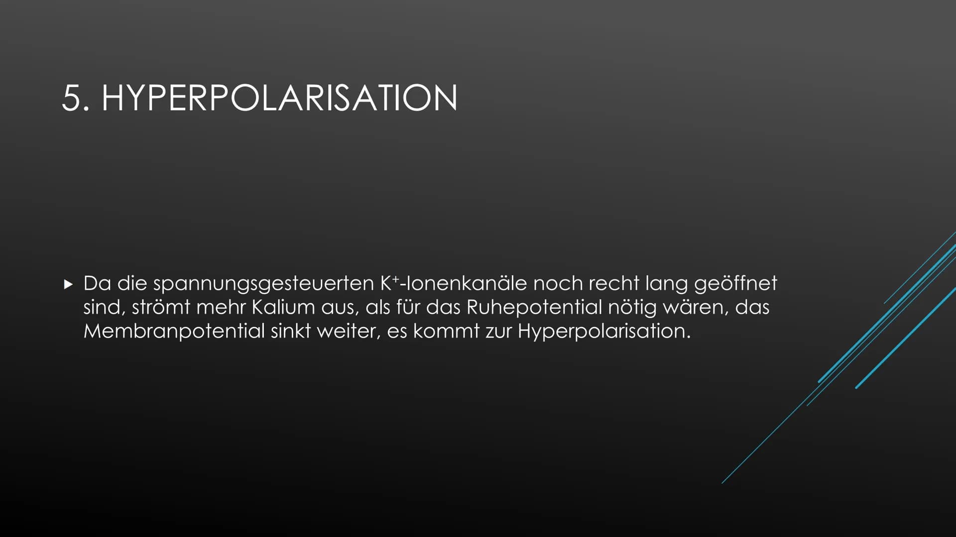 Aktionspotential
Das Aktionspotential läuft immer nach exakt dem selben Prinzip ab, Form und Ablauf ist identisch.
Ausgelöst wird es nach de