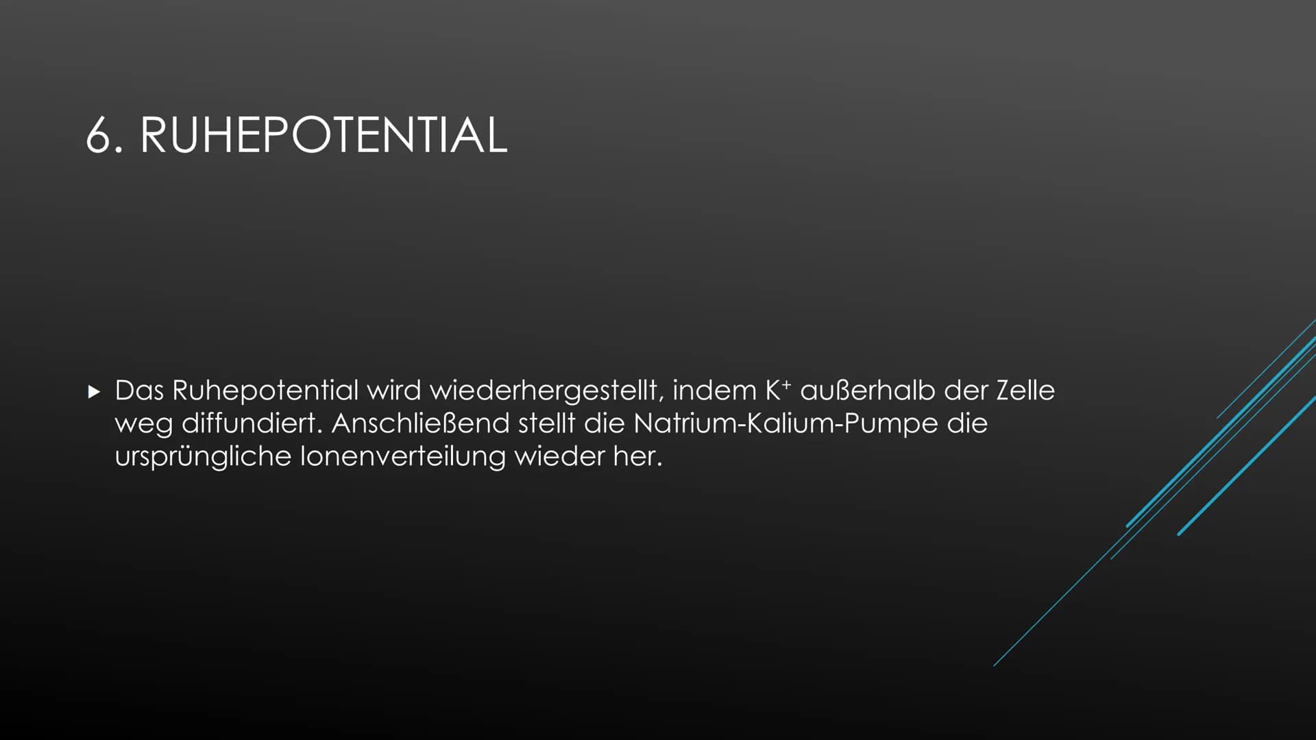 Aktionspotential
Das Aktionspotential läuft immer nach exakt dem selben Prinzip ab, Form und Ablauf ist identisch.
Ausgelöst wird es nach de